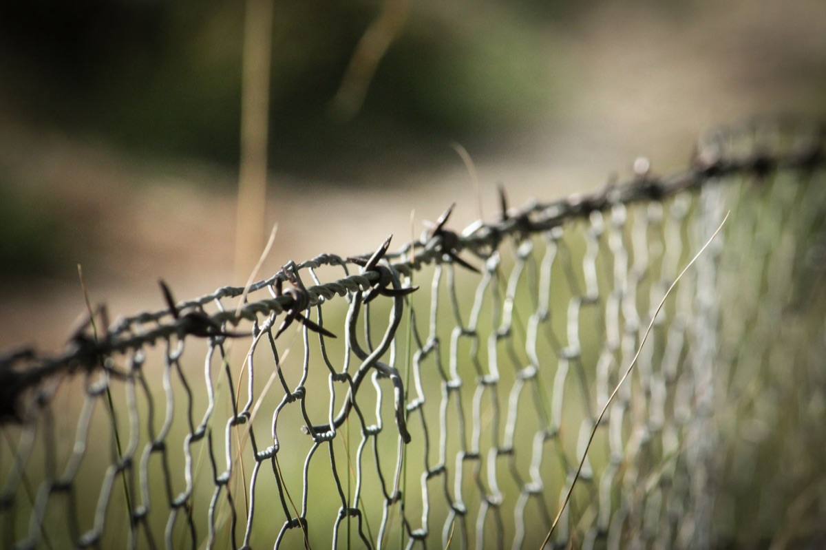 Fragment of East German border fence showing rusted metal and weathered concrete