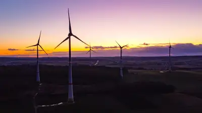 Germany green tech balance: 18.0% high-tech export guide