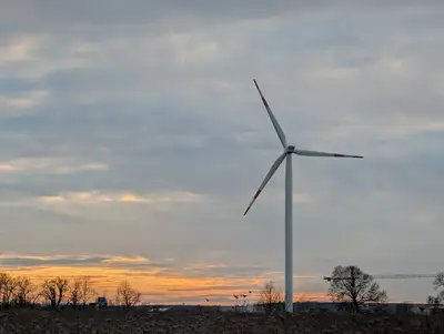 ¿Cómo afecta la digitalización al consumo de electricidad?
