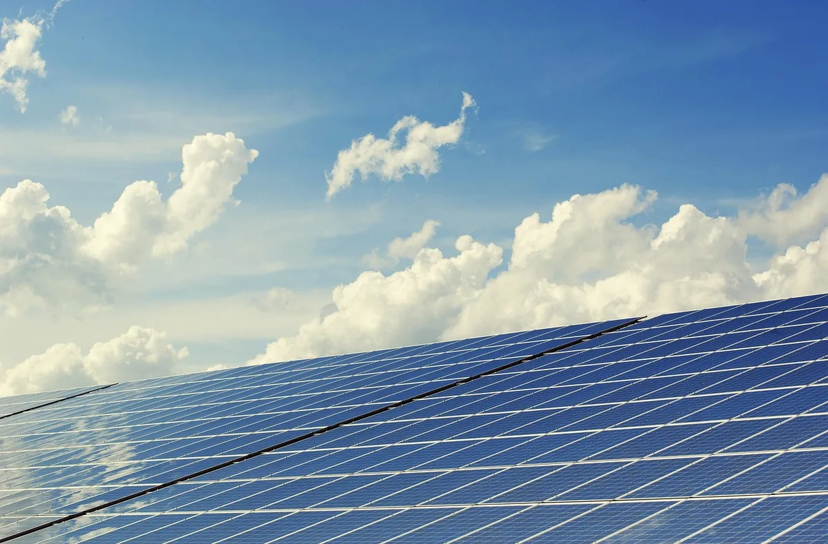 光合成、光合成システム、太陽光システム、太陽、太陽エネルギー、太陽電池、発電、太陽電池パネル、エネルギー転換、エネルギー、電力